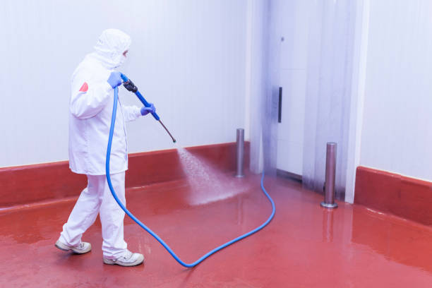 Best Vinyl Siding Pressure Washing in Keokea, HI